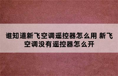 谁知道新飞空调遥控器怎么用 新飞空调没有遥控器怎么开